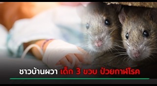 กาฬโรค