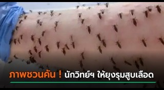 นักวิทยาศาสตร์