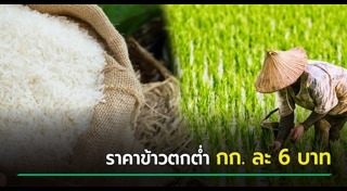 ชาวนาไทย