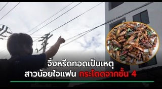 แมลงทอด