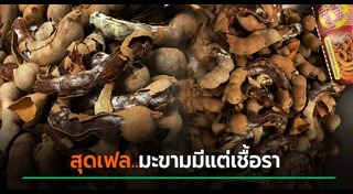 เพชรบูรณ์