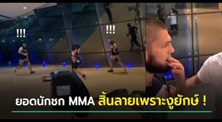 นักมวยสากล