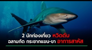 ฉลามกัดคน