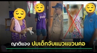 ทำร้ายแมว