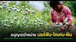 สารเสพติด