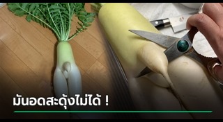 หัวไช้เท้า