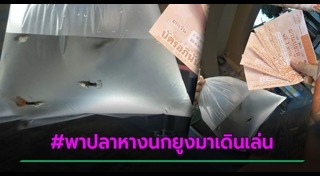 ดรีมเวิลด์