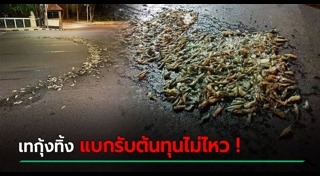 เยาวชนปลดแอก