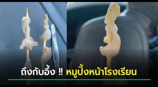 หมูย่าง