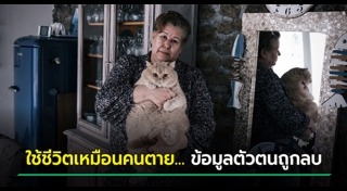 ข้อมูลเท็จ