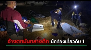 ช้างทำร้ายนักท่องเที่ยว