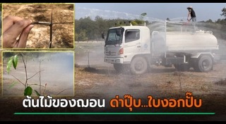 ฌอน บูรณะหิรัญ