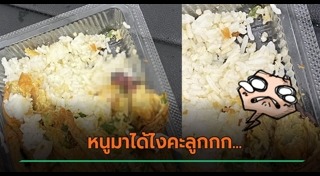 ข้าวไข่เจียว