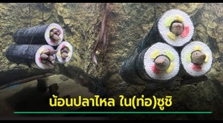 ปลาไหล