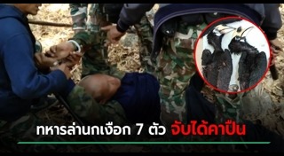 นกเงือก