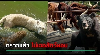 ฟาร์มจระเข้