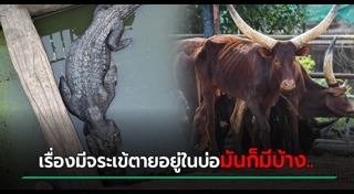 ฟาร์มจระเข้