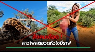 ล่าสัตว์