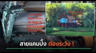 แคมปิ้ง