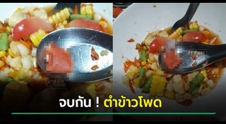 พลาสเตอร์ยา