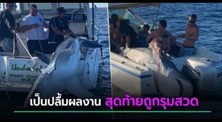 ฉลามยักษ์