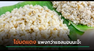 ไข่มดแดง