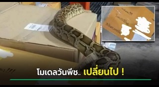 โมเดลการ์ตูน