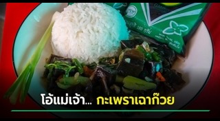 เฉาก๊วย