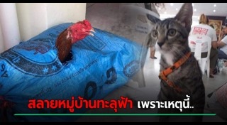 หมู่บ้านทะลุฟ้า