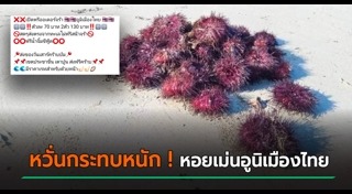 หอย