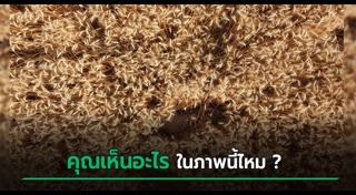 ภาพแนวอาร์ตๆ