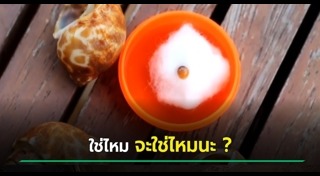ไข่มุก