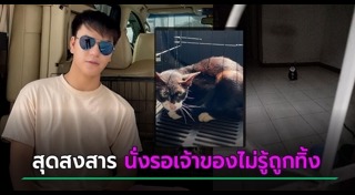 บูม หมูทะ