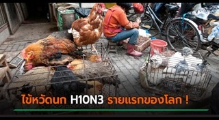 ไข้หวัดนก