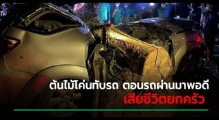 ต้นไม้ล้มทับคน