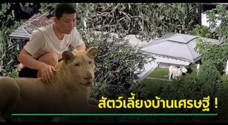 เศรษฐีจีน