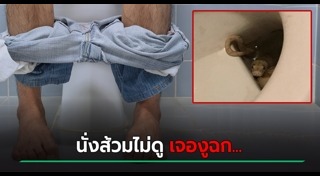 งูในชักโครก