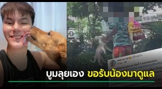 บูม หมูทะ