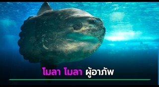 ปลาทะเลน้ำลึก