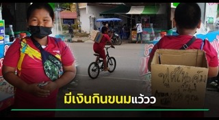 อาชีพเสริม