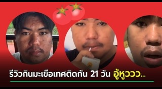 มะเขือเทศ