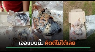 บราวนี่