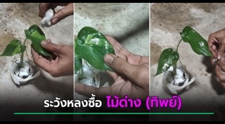 กลโกงร้านค้า