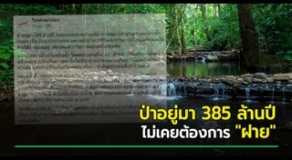 ฝายชะลอน้ำ