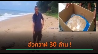 อำพันทะเล