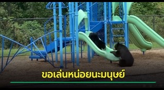 หมี