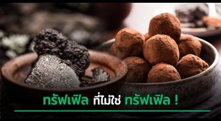 ไอศกรีมช็อกโกแลต