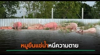 ขอนแก่น