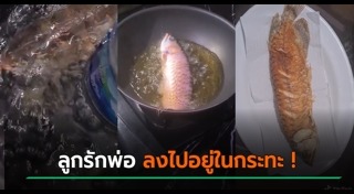 เรื่องแปลกอินโดนีเซีย