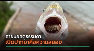 ปรสิต